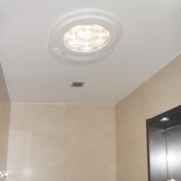 Maxlight 250 Vent – Concrete Tile Roof (dwg)