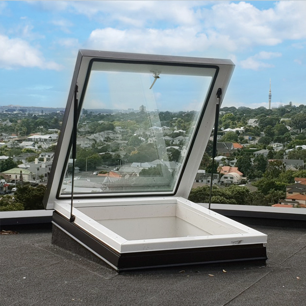 Roof Access Double Glazed